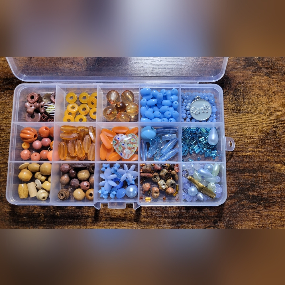Clear Bead Organizer with Blue and Orange Beads